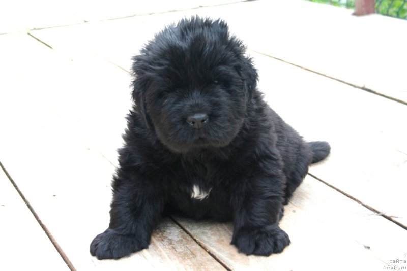 Фотография № 157167