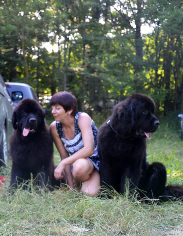 Фотография № 157193