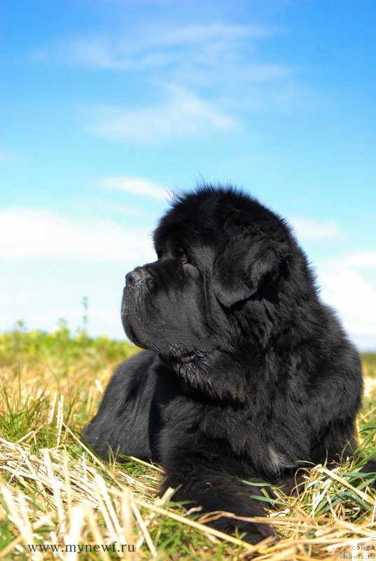 Фотография № 157209