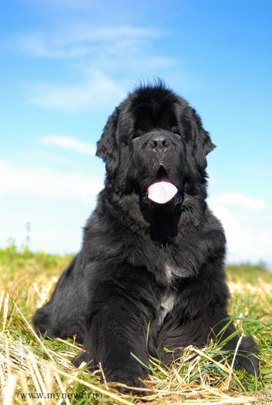 Фотография № 157211