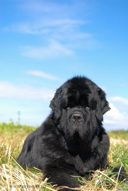 Фотография № 157212