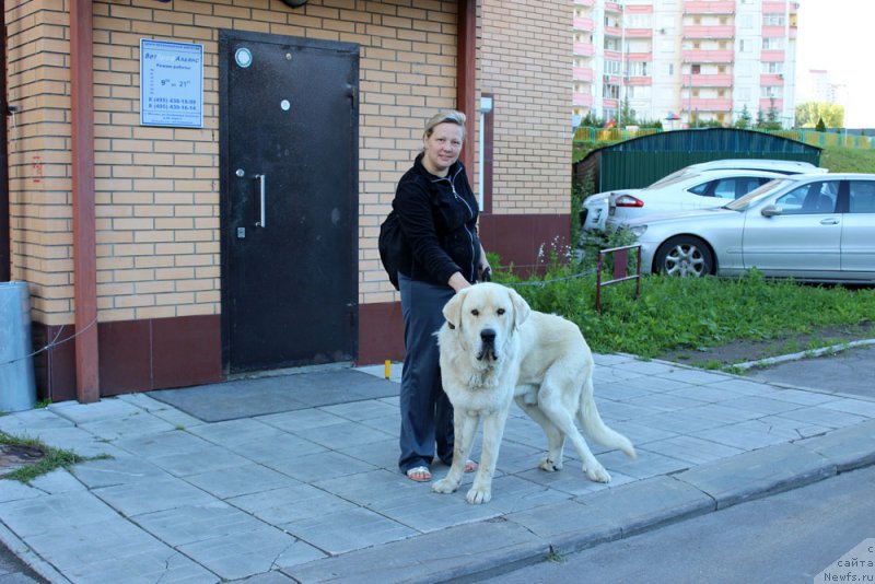 Фотография № 157226