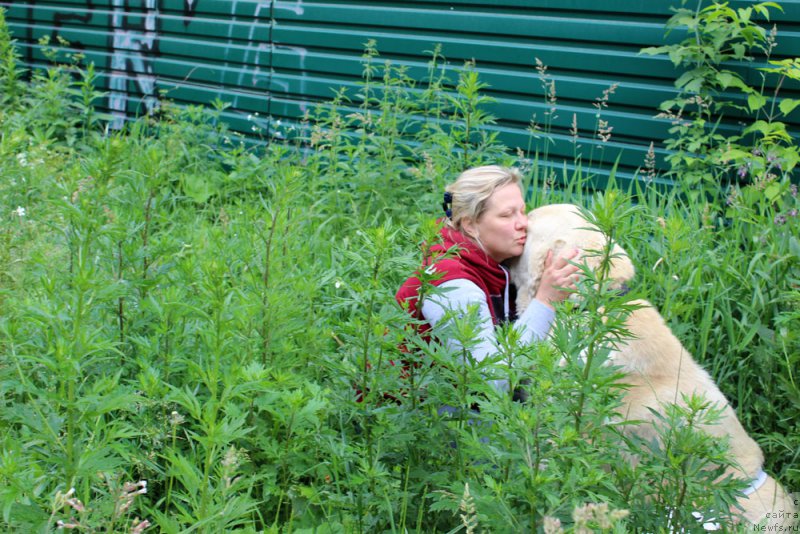 Фотография № 157229