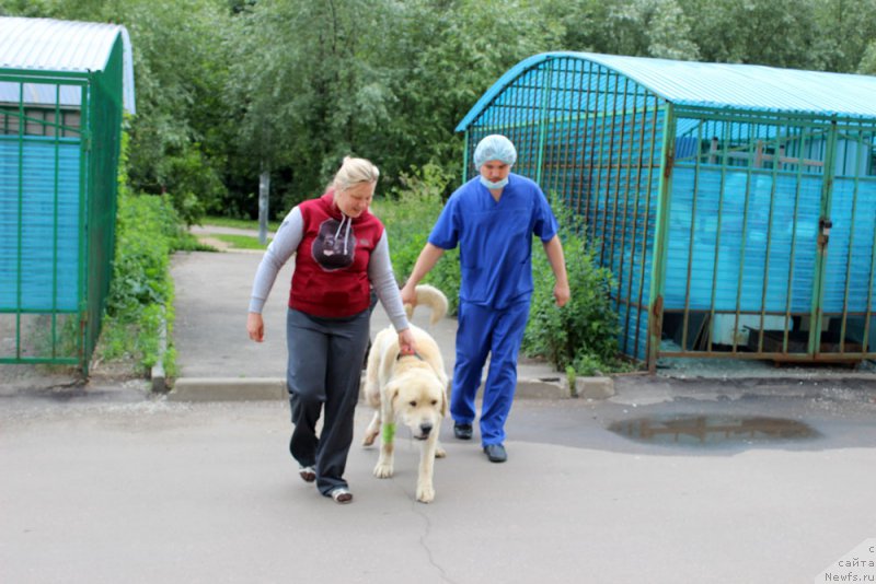 Фотография № 157233