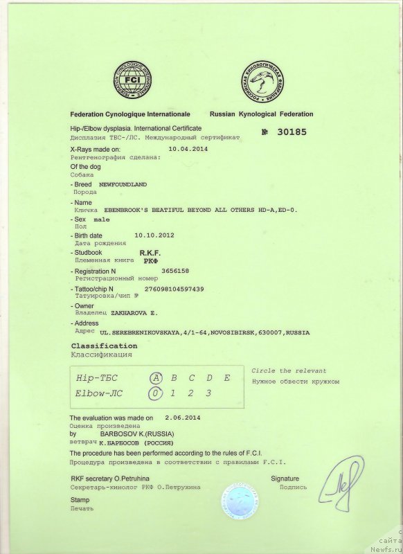 Фотография № 157291