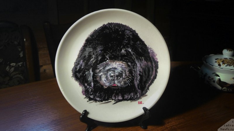 Фотография № 157292