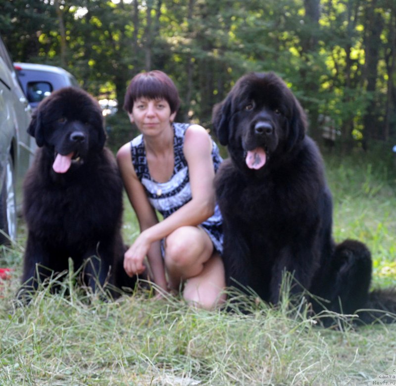 Фотография № 157295