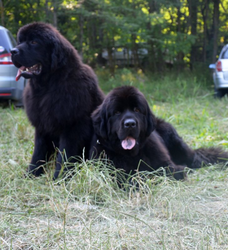 Фотография № 157296