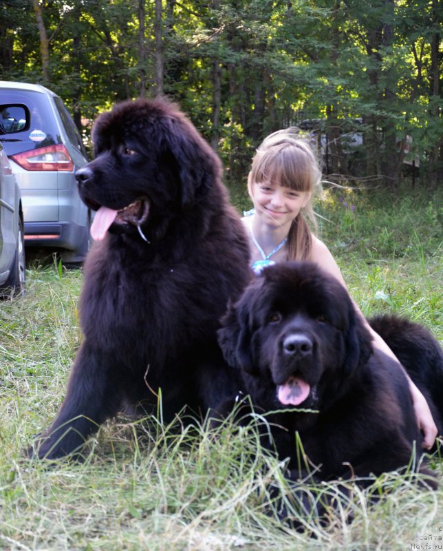 Фотография № 157326