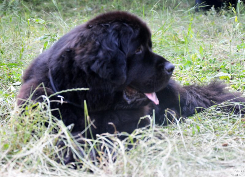 Фотография № 157327