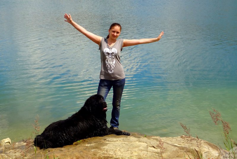 Фото: ньюфаундленд Chernyj Chank s Berega Dona (Черный Чанк с Берега Дона)