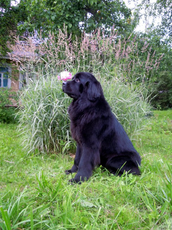 Фотография № 157333