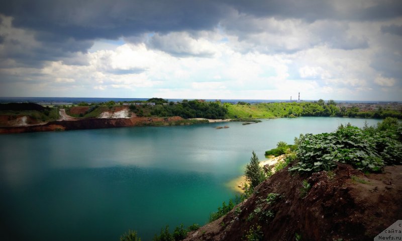 Фото: ньюфаундленд Chernyj Chank s Berega Dona (Черный Чанк с Берега Дона)