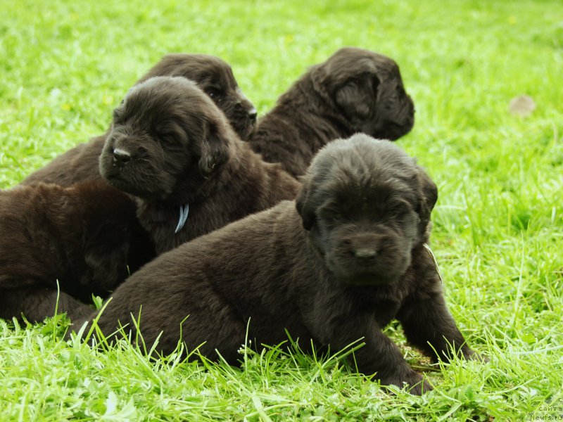 Фото: Viktor Hrischanovich (Виктор Хрищанович)