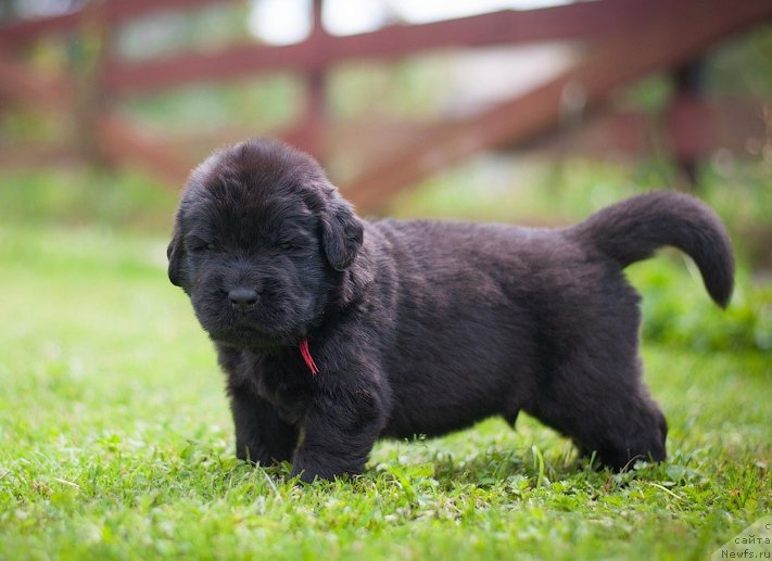 Фотография № 157345