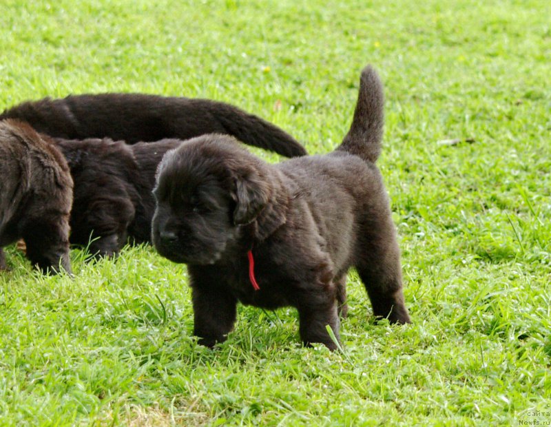 Фотография № 157347