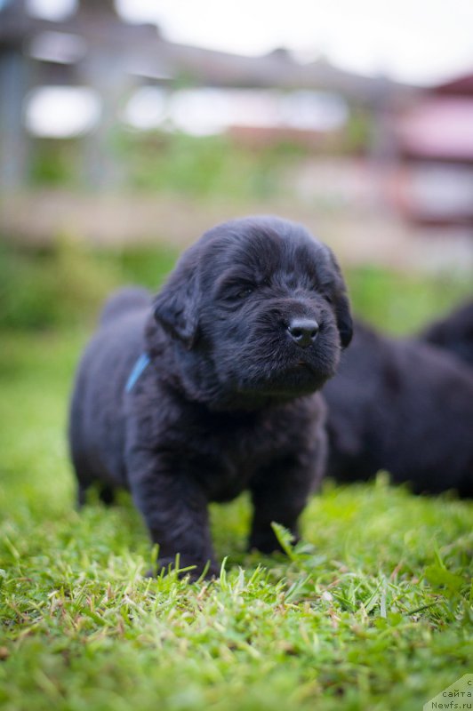 Фотография № 157348