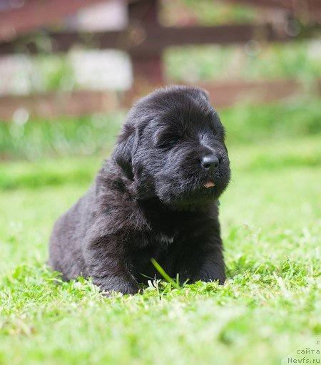 Фотография № 157353