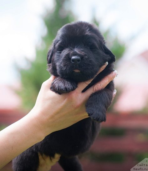 Фотография № 157354