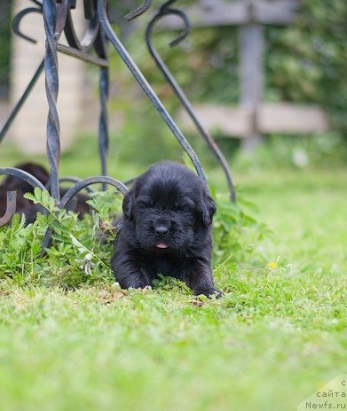 Фотография № 157355