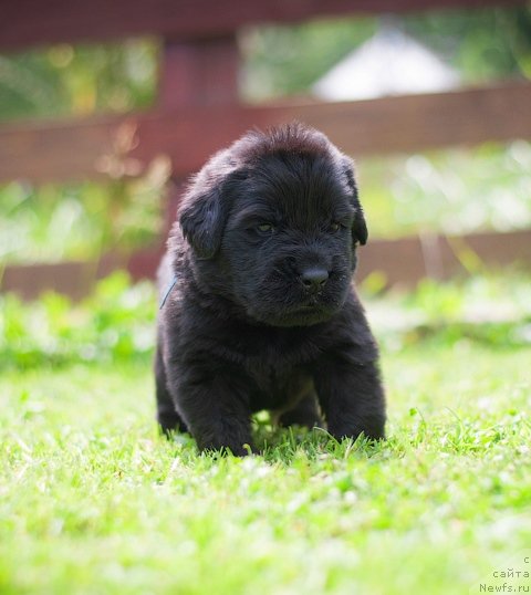 Фотография № 157358