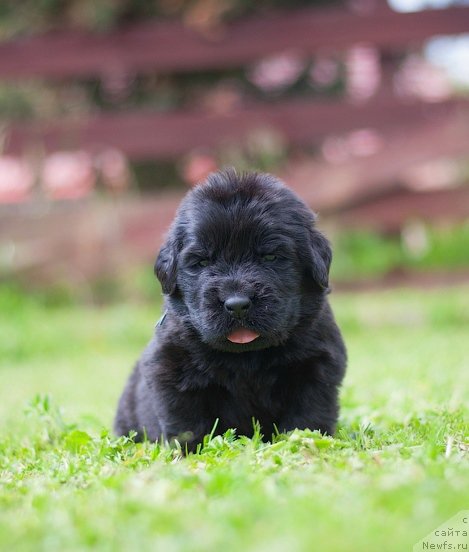 Фотография № 157359