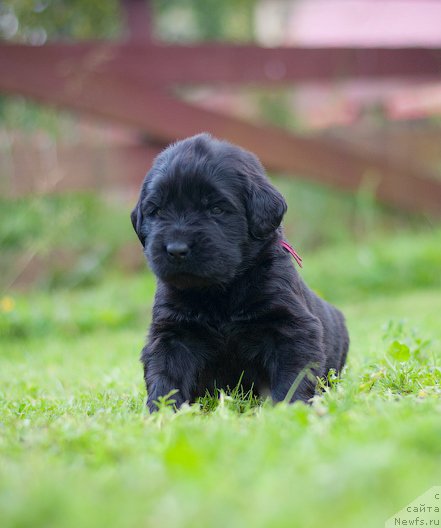 Фотография № 157361