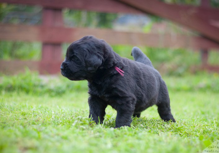 Фотография № 157362