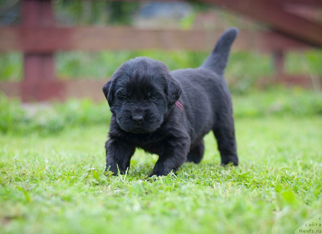 Фотография № 157363