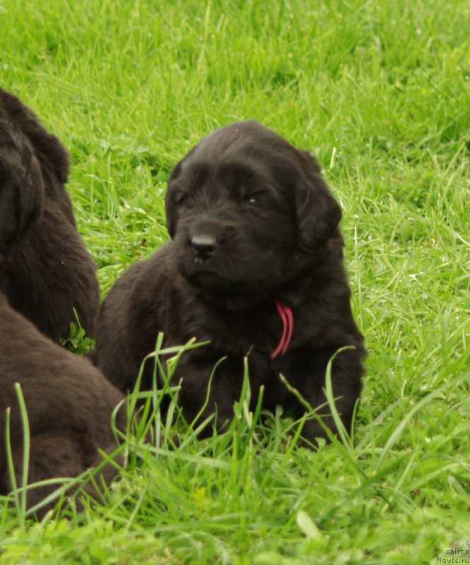 Фотография № 157364