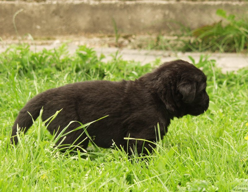 Фотография № 157365