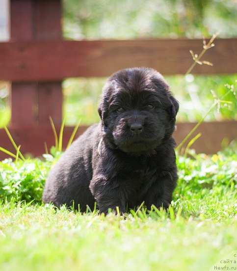 Фотография № 157369