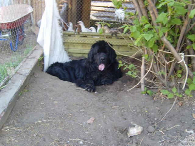 Фотография № 15737