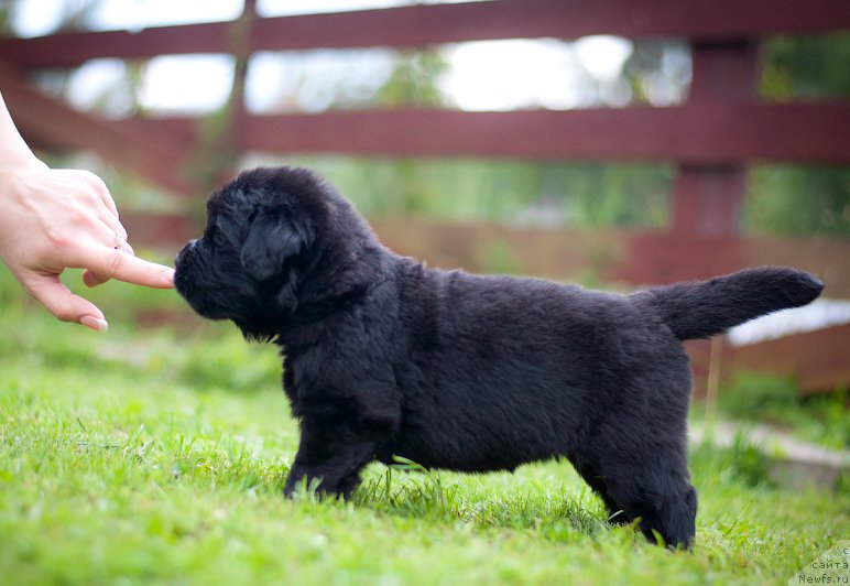 Фотография № 157370