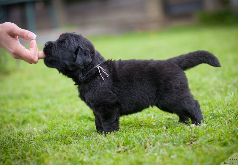 Фотография № 157373