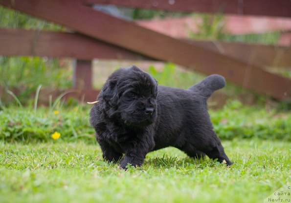 Фотография № 157374