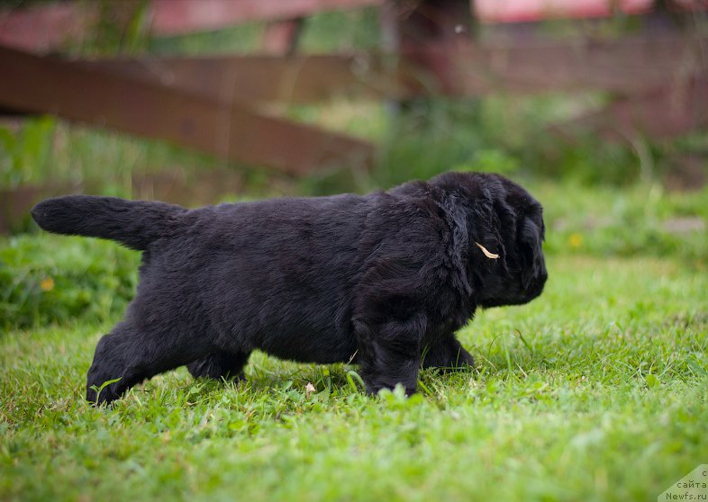 Фотография № 157375