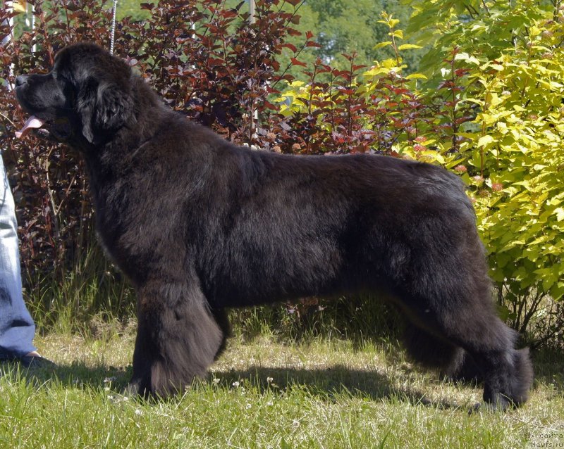 Фотография № 157401