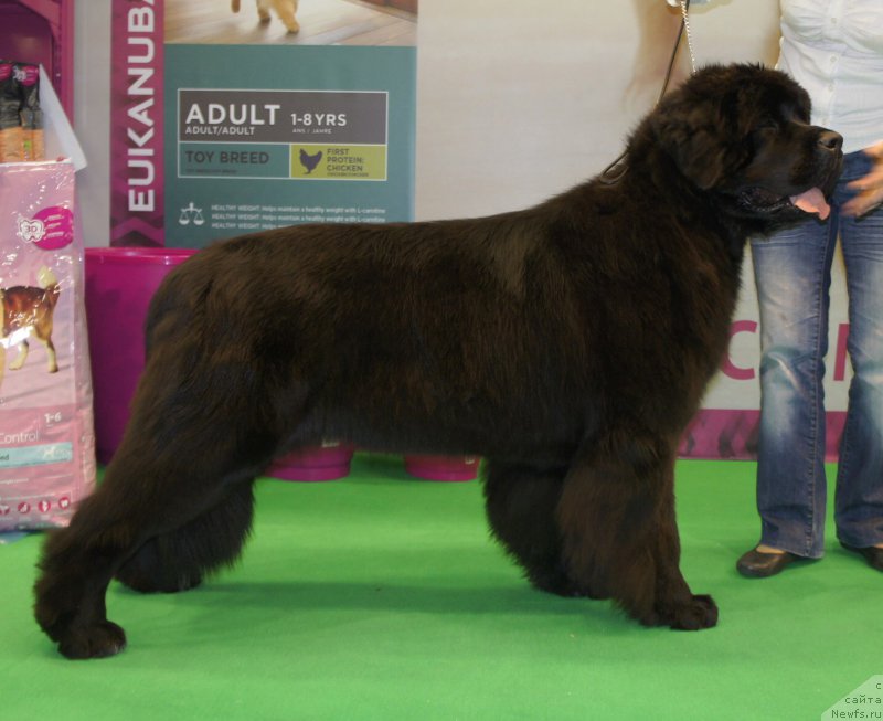 Фотография № 157404