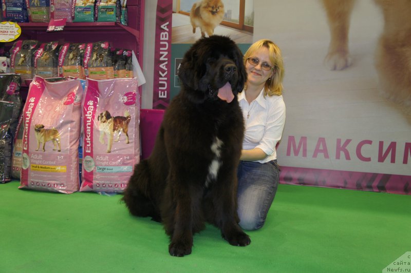 Фотография № 157409