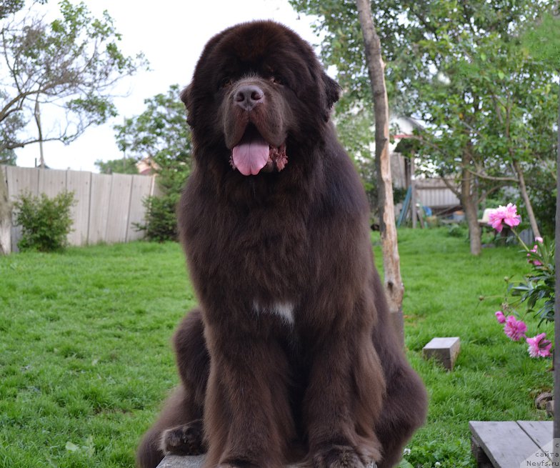 Фотография № 157433