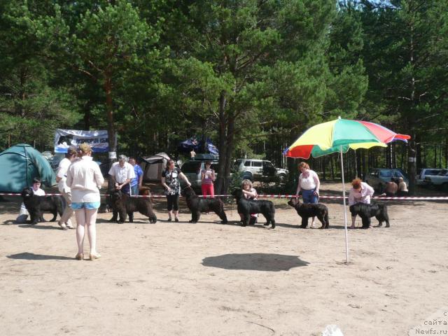 Фотография № 15745