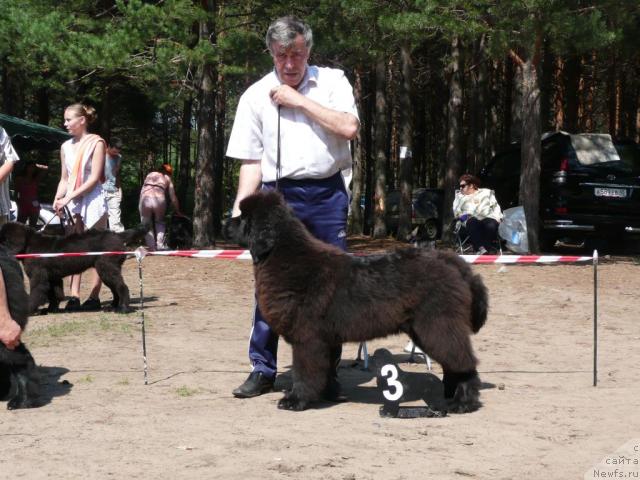 Фотография № 15746