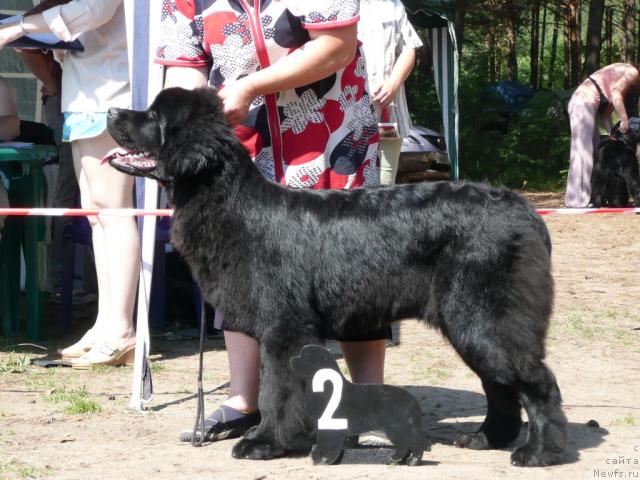 Фотография № 15748