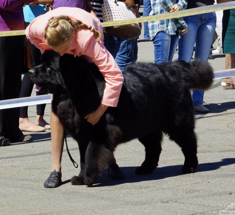 Фотография № 157483