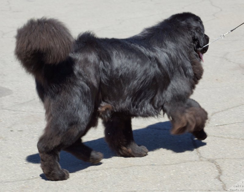 Фотография № 157486