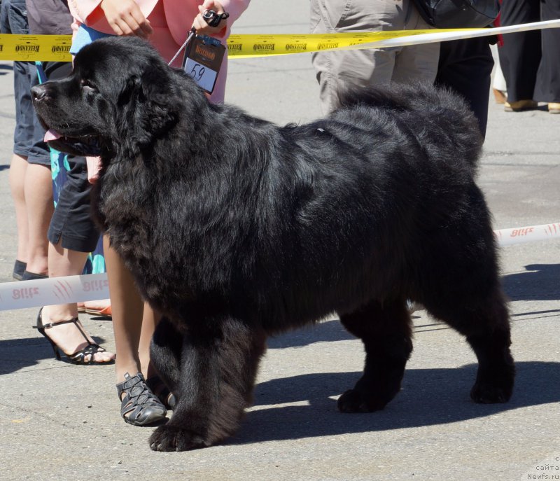 Фотография № 157488