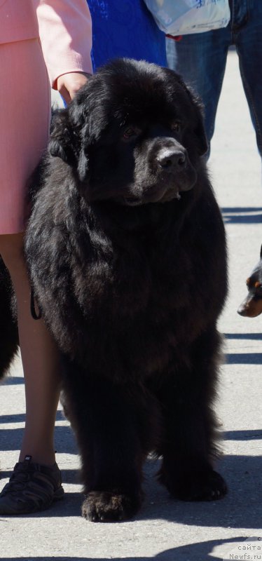 Фотография № 157491