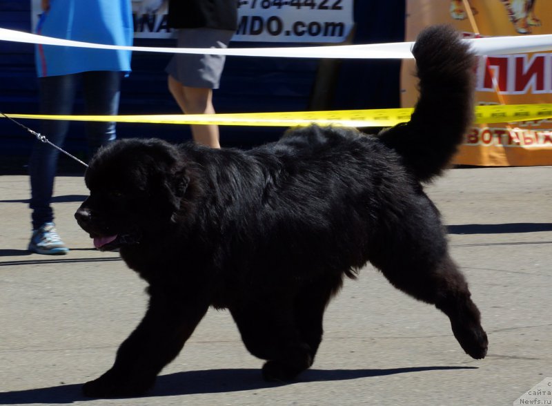 Фотография № 157495