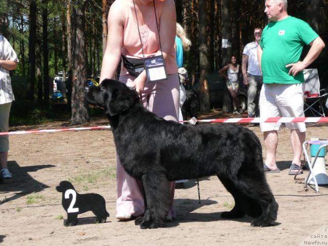 Фотография № 15751